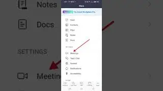 Zoom meeting screen sharing but not sharing audio| Not showing audio option