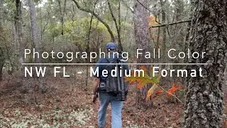 Photographing Fall Color in NW Florida - Medium Format