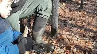 What's Under the Leaves on the Forest Floor?