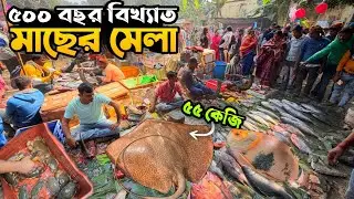 ৫০০ বছরের পুরনো মাছের মেলা! 🐟 Bandel Kestopur Macher Mela | World Biggest Fish Mela