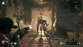 Remnant 2 Episode: 7 - The Root Nexus!