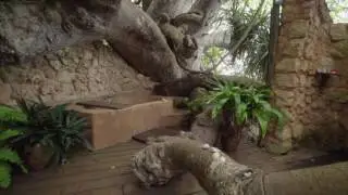 Fumba Beach Lodge