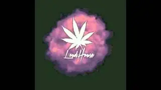 Young Leek - 
