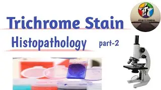 Trichrome Stain ll Staining Methods to Demonstrate Special or specific tissues ll Histology