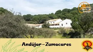 Andújar-Zumacares (P.N. Sierra de Andújar) | De rutas por la naturaleza