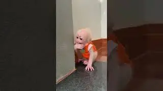 #babymonkey #monkey Duke #smart monkey
