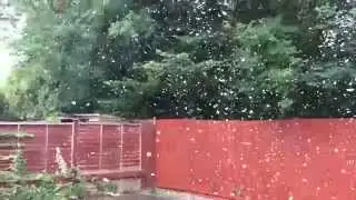Snow Machine | Professional Snow Machine Hire.