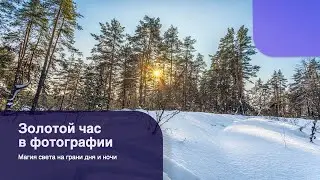 Что такое золотой час в фотографии?