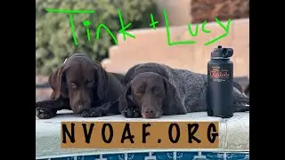 NVOAF Tink + Lucy