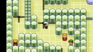 Pok&egrave;mon Smeraldo (14) - La Palestra Di Forestopoli