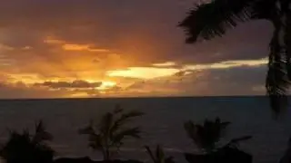 HOGALA IA KOHE MEA NOA
