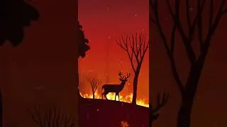 Wildfires | NSTEM