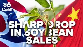 Sharp drop in US soybean sales to China could impact central Ohio jobs