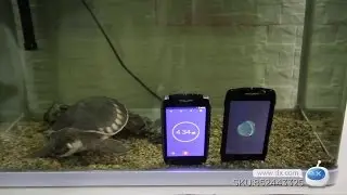 DX:DOOGEE T5 5.0