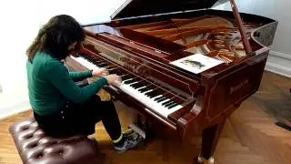B&ouml;sendorfer Imperial Grand, Vienna 2011