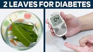 2 Incredible Mango Leaves For Diabetes (Including Health Benefits, Hair Growth & Weight Loss)