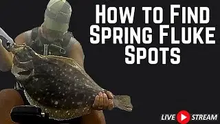 How I Found The Best Fishing Spots for Flounder