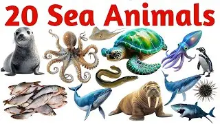 20 समुद्री जानवरों के नाम सीखें | 20 Sea Animals Names in English & Hindi Kids Vocabulary Learning
