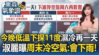 今晚低溫下探11度「濕冷再一天」！王淑麗曝周末冷空氣：會下雨！【東森氣象讚】