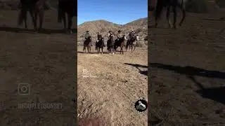 FOUR LEGS ON SET - 5 horses Western Commercial Filming