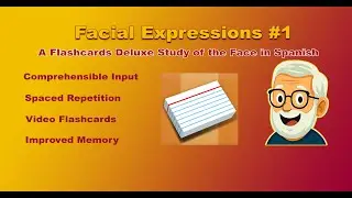 FACIAL EXPRESSIONS #1