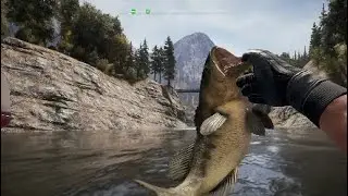 Far cry 5 fishing spots