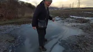 Выгул собак ICE Walker