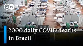 Coronavirus variant leads to surging death toll in Brazil | DW News
