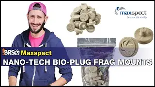 Frag Plugs That Help Grow Corals Faster? That's What Maxspect Designed These Coral Frag Mounts For!
