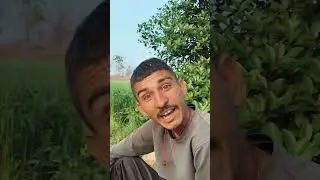 झूठी बोलकर 😅 #bannad #comedy #ekmotahathighumechala #comedyfilms #funny #शोर्ट #shorts
