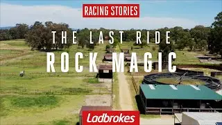 Rock Magic Will Finish His Incredible Career In The 2021 Winterbottom Stakes