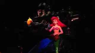 Disney World Magic Kingdom Ariel On The Ariel Ride