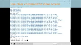 Clear command in Linux