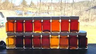 MAPLE SEASON 2024 Rundown Chat