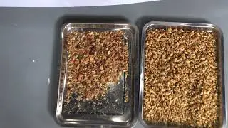 BSI600CJ-FX Infrared Sorting for Walnut Kernel and Shell Separation