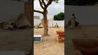 Brilliant Double Industrial plot location in Mehran town Industrial Area Korangi Karachi