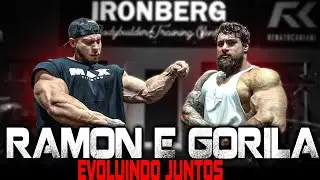 GORILA PEDE AJUDA PARA O RAMON DINO!!!