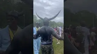 Jab Jab J&rsquo;ouvert Jab-Molassie | Best Caribbean Party