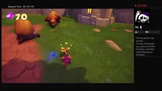 DGAF Gaming-Spyro