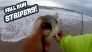 Fall Run SURFCASTING the SOUTH SHORE! - Long Island NY
