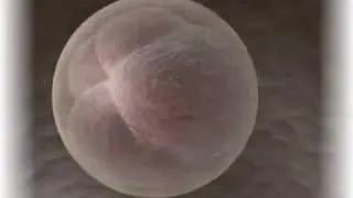 Arkitek Reel
