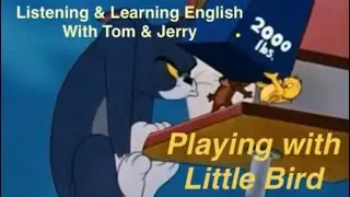 Learning English w/ Tom & Jerry. Playing With Little Bird