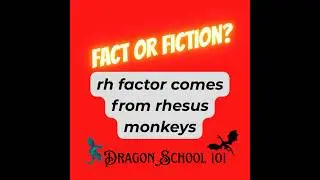 Fact Check Blood Type Episode 001 (Music only w/subtitles & text) by Dragon School 101&trade; #bloodtype