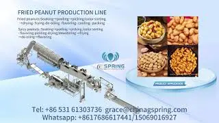 Hot selling automatic spicy peanuts production line#automatic spicy peanuts#machine
