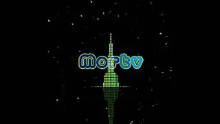 Too Quiet | mortv_official