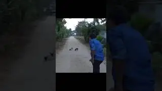 Tamil Gaming Pokemon adventures | Pokemon Go funny moments| Tamil Gaming Highlights
