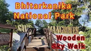 Wooded Sky walk (650-meter-long)  in Bhitarkanika National Park. Odisha. 