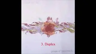 Dioramic - Phase of Perplexity (FULL ALBUM)