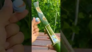 bamboo creations with A strong string #bamboo #shorts #diy #toys
