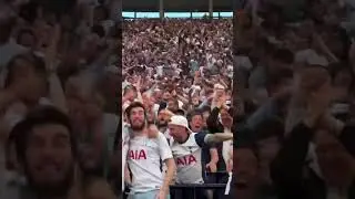 Tottenham fan&rsquo;s crazy reaction after goal 🙌🤪🔥 #Tottenham #Spurs #THFC #COYS #UELChampions